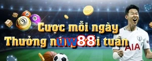 uw88